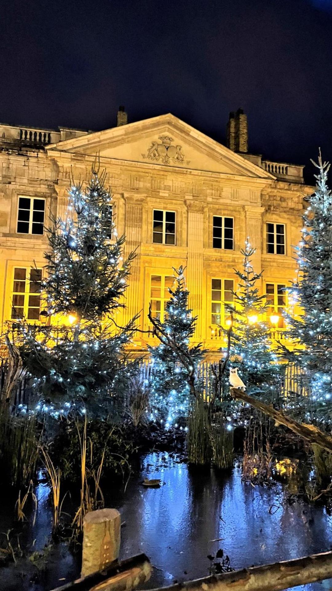Cocon Lumineux Proche De La Ville Fortifiee Et De Nausicaa Boulogne-sur-Mer Exteriör bild