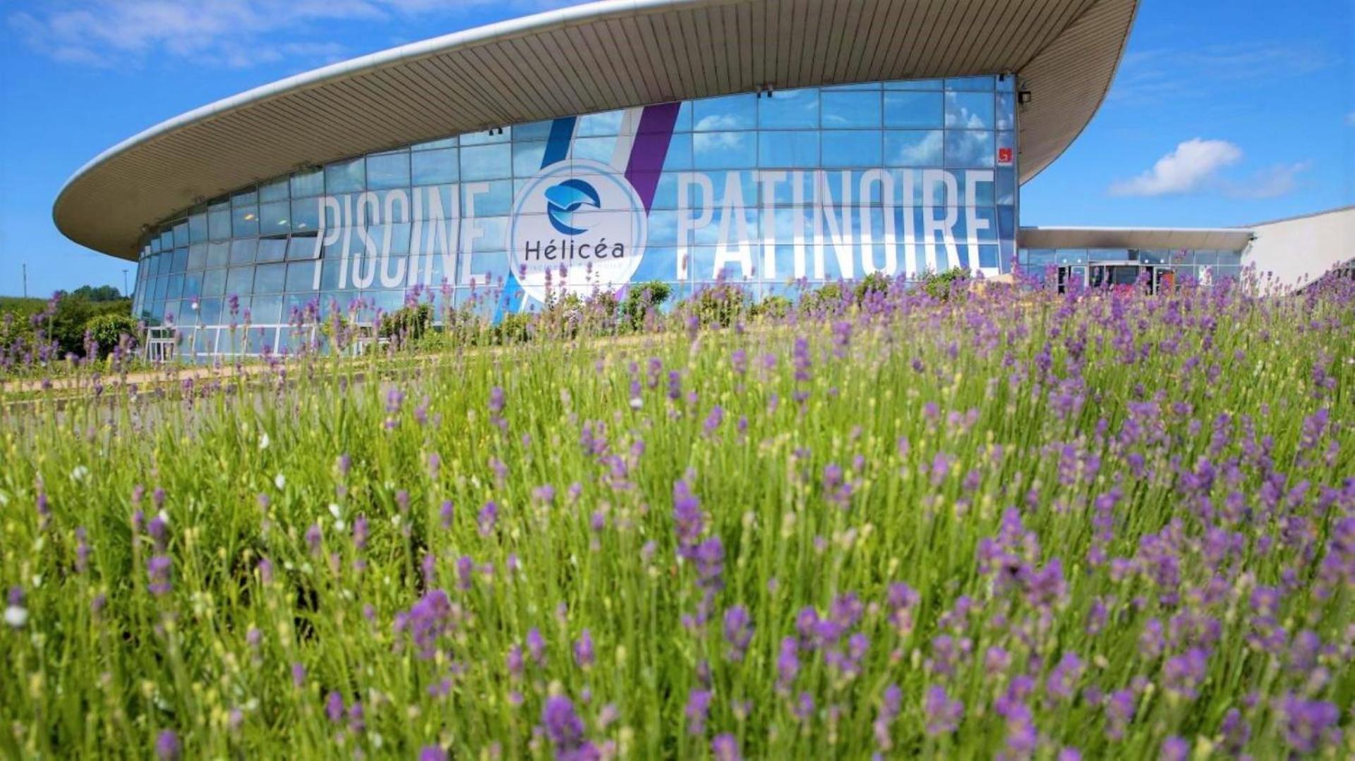 Cocon Lumineux Proche De La Ville Fortifiee Et De Nausicaa Boulogne-sur-Mer Exteriör bild