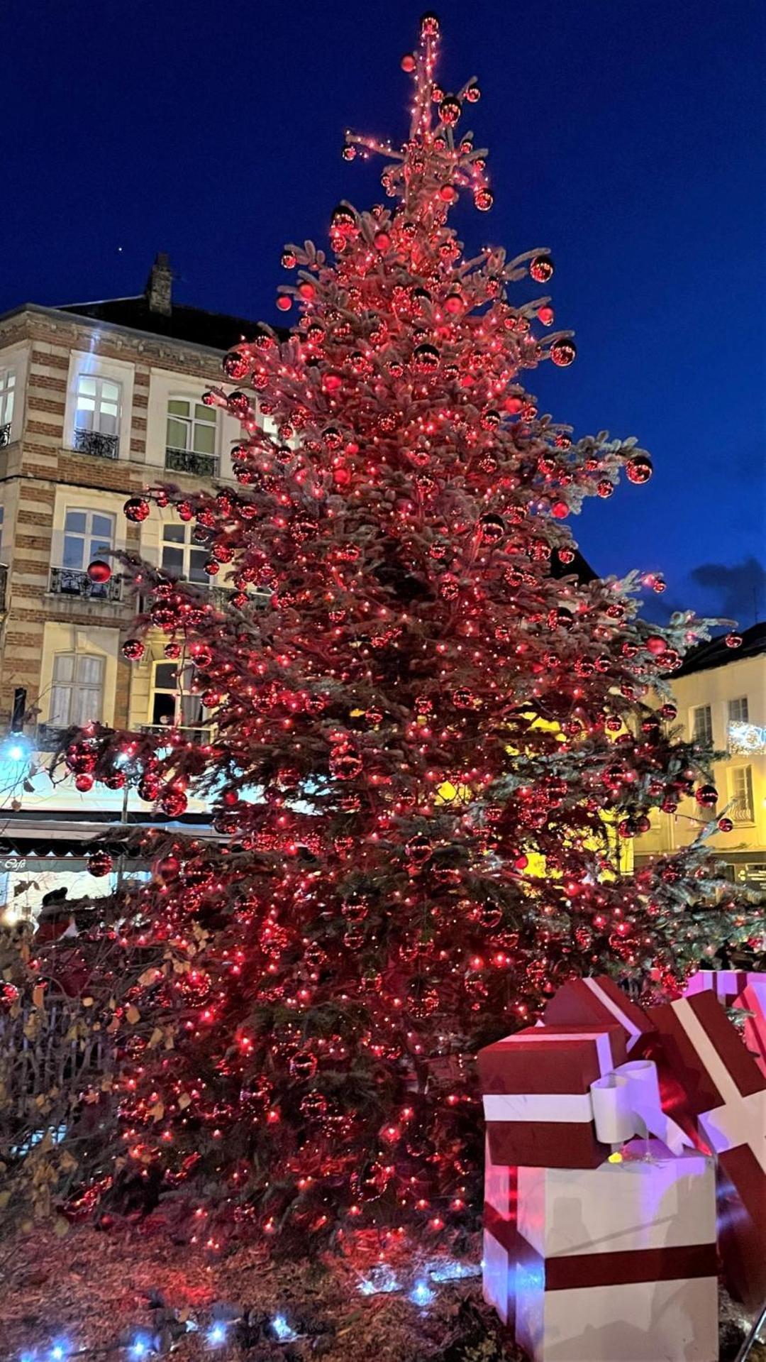 Cocon Lumineux Proche De La Ville Fortifiee Et De Nausicaa Boulogne-sur-Mer Exteriör bild